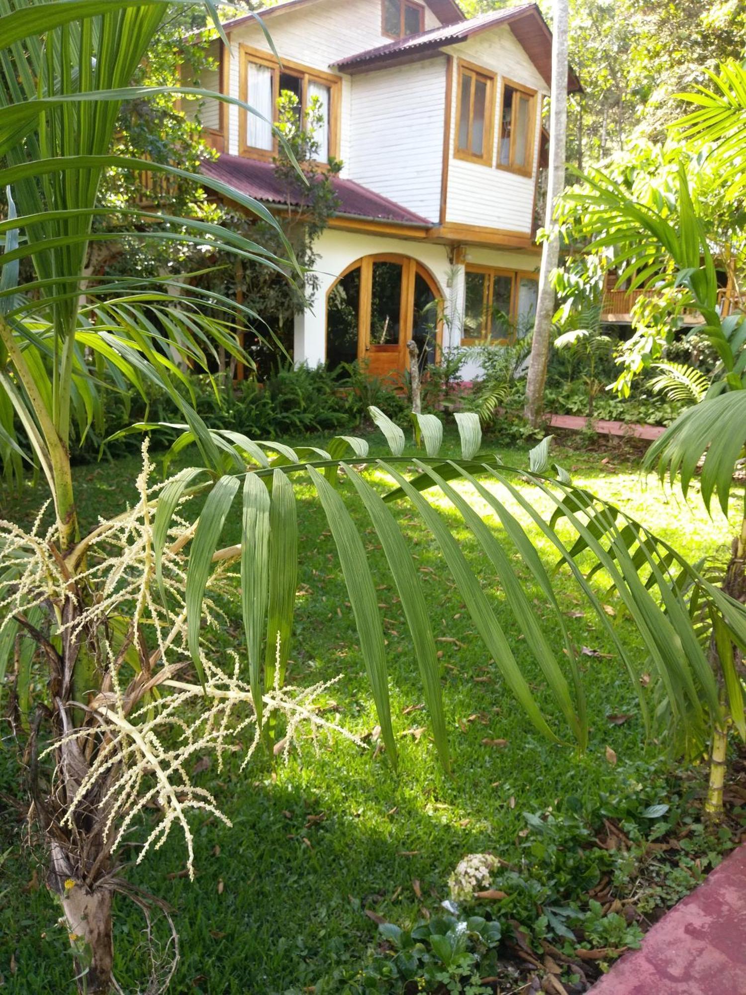 Refugio De Orquideas Βίλα Oxapampa Εξωτερικό φωτογραφία